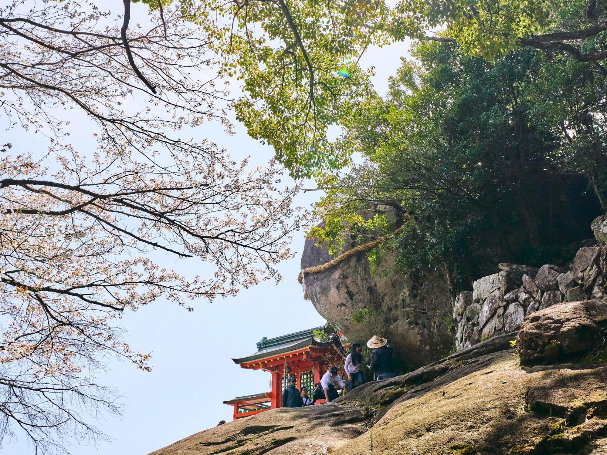 Kokoyui Guesthouse Shingu Exterior photo